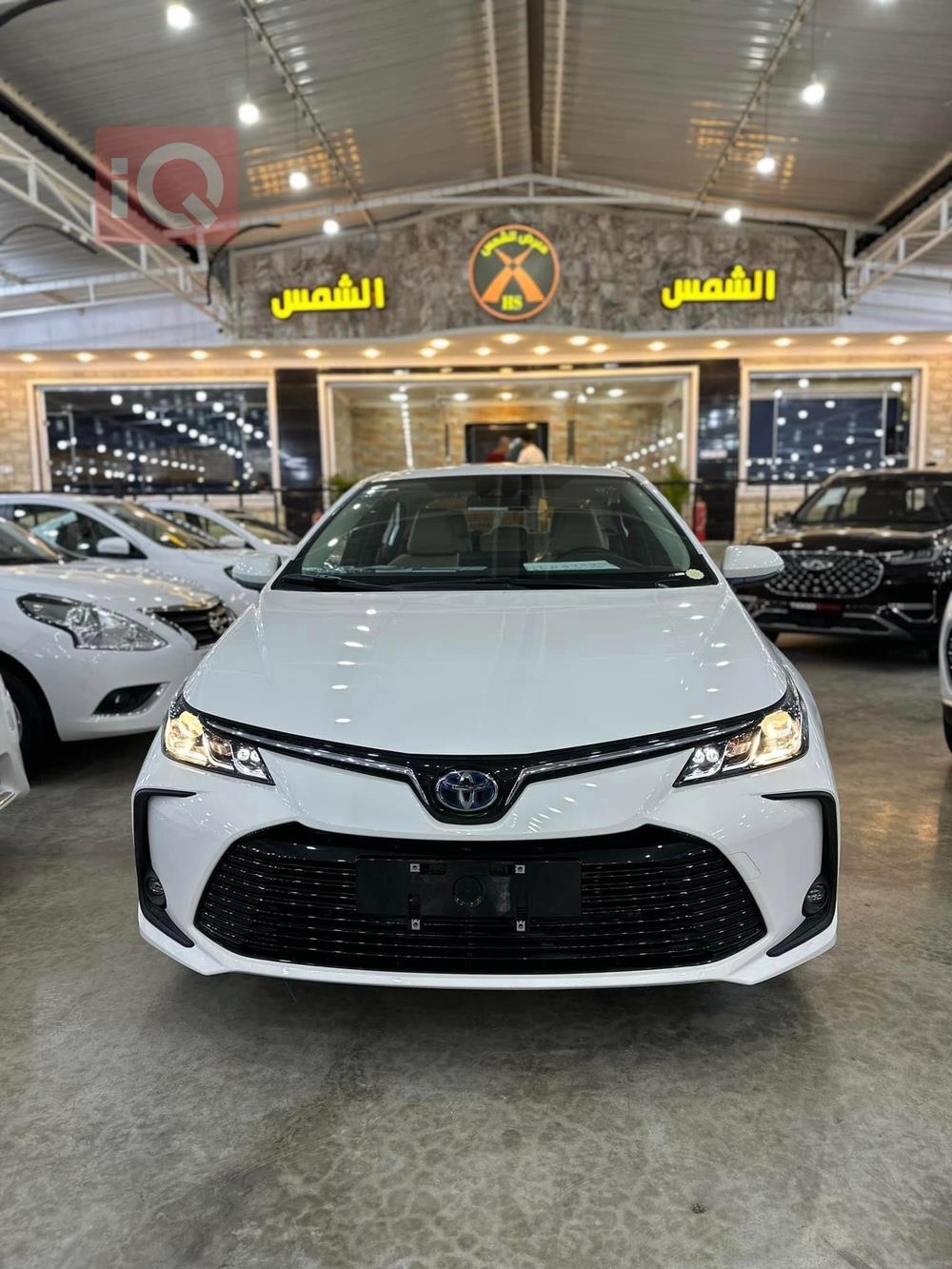 تويوتا كورولا